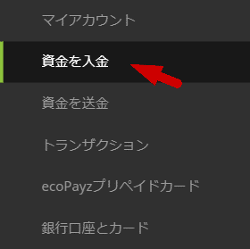 エコペイズ Ecopayz 入金方法 21年4月特典 オンラインカジノ登録 入金 出金