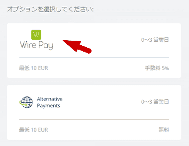 エコペイズ (ecoPayz) Wire Pay (収納代行)入金